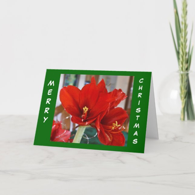 Red Amaryllis Helgkort (Framsida)