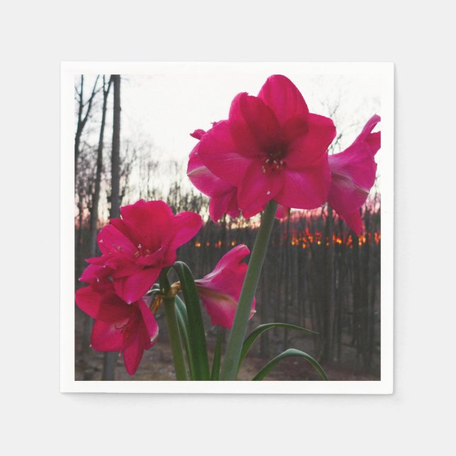Red Amaryllis och Winter Sunrise Pappersservett (Framsidan)