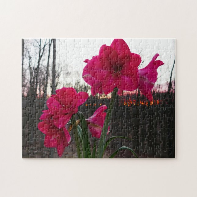 Red Amaryllis och Winter Sunrise Pussel (Horisontell)