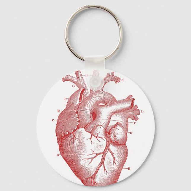 Red Anatomical Heart Nyckelring (Framsida)