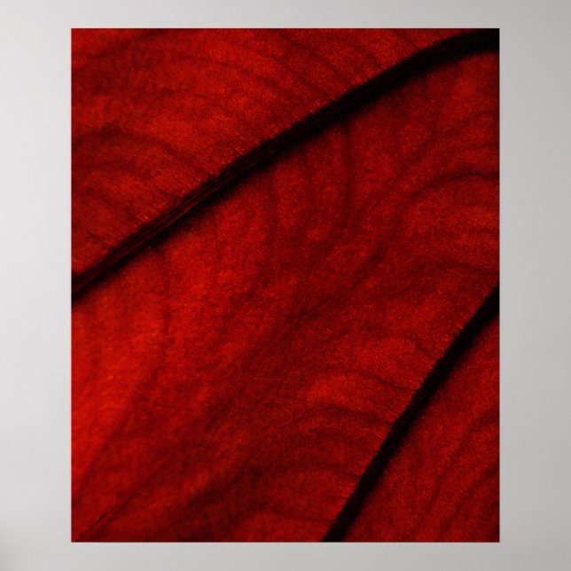 Red and Black Colocasia Abstrakt Poster (Framsidan)