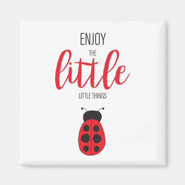 Red and Black Hand plockade Baby Ladybug Cute Kryp Magnet (Framsidan)