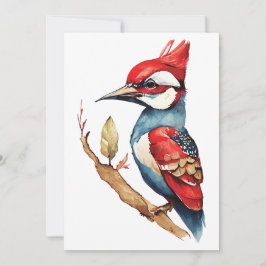 Red and Blue Woodpecker Julkort