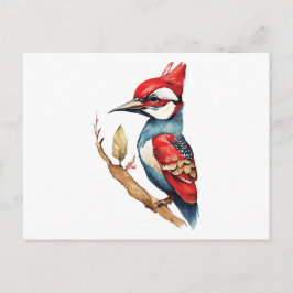 Red and Blue Woodpecker Vykort