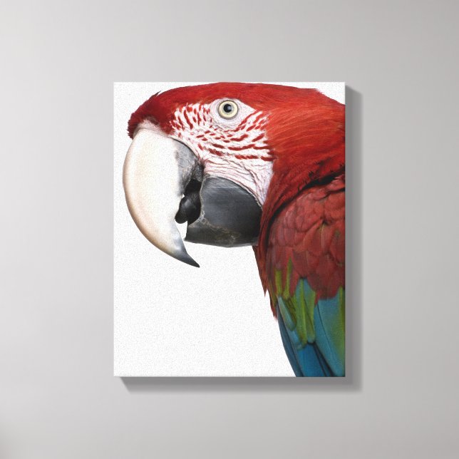 Red-and-grönt Macaw - Ara chloropterus Canvastryck (Framsida)
