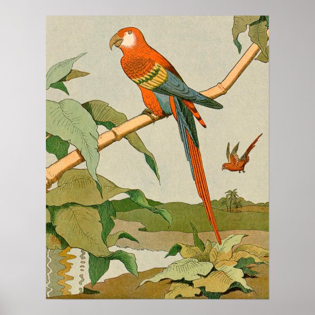 Red-and-Grönt Macaw Jungle Parrot Poster (Framsidan)