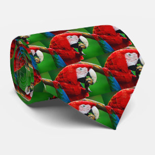 Red-and-grönt Macaw Slips