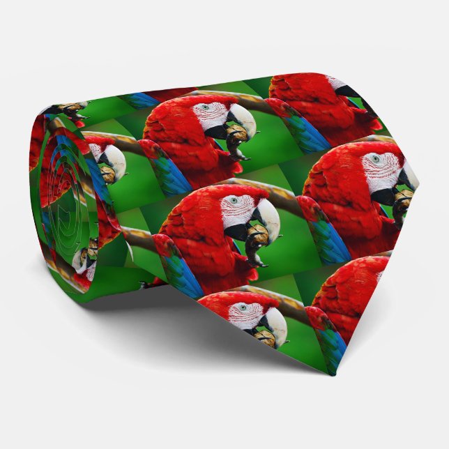Red-and-grönt Macaw Slips (Rullad)