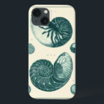 Red and Grönt Seashell Art<br><div class="desc">Konstnären Denis Diderot är begåvad och känd för sitt underbara havsliv i bilder. I den här levande bilden fångar han två röda och grönt krackade Conch-paneler i sitt mest naturliga stil. Ofta spricker man sig som de här två segelerna och i en sepiafärgad tittar ton. Hämta din årstidsprodukt idag och...</div>