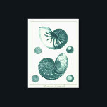 Red and Grönt Seashell Art Canvastryck<br><div class="desc">Konstnären Denis Diderot är begåvad och känd för sitt underbara havsliv i bilder. I den här levande bilden fångar han två röda och grönt krackade Conch-paneler i sitt mest naturliga stil. Ofta spricker man sig som de här två segelerna och i en sepiafärgad tittar ton. Hämta din årstidsprodukt idag och...</div>