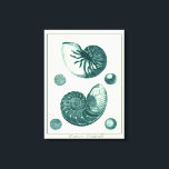 Red and Grönt Seashell Art Canvastryck<br><div class="desc">Konstnären Denis Diderot är begåvad och känd för sitt underbara havsliv i bilder. I den här levande bilden fångar han två röda och grönt krackade Conch-paneler i sitt mest naturliga stil. Ofta spricker man sig som de här två segelerna och i en sepiafärgad tittar ton. Hämta din årstidsprodukt idag och...</div>