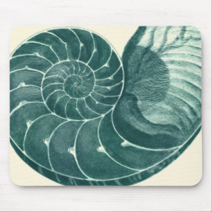 Red and Grönt Seashell Art Musmatta