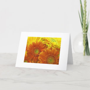 "Red and Gult and Orange Dahlias" Kort
