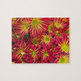 Red and Gult Chrysanthemums Photo Pussel