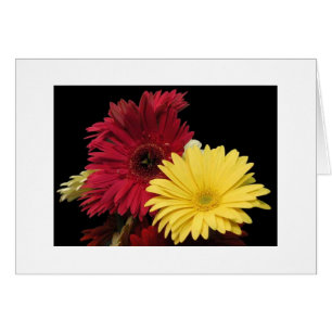 Red and Gult Dahlias" Hälsningskort