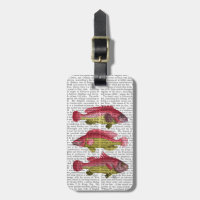 Red and Gult Fantasy Fish Trio