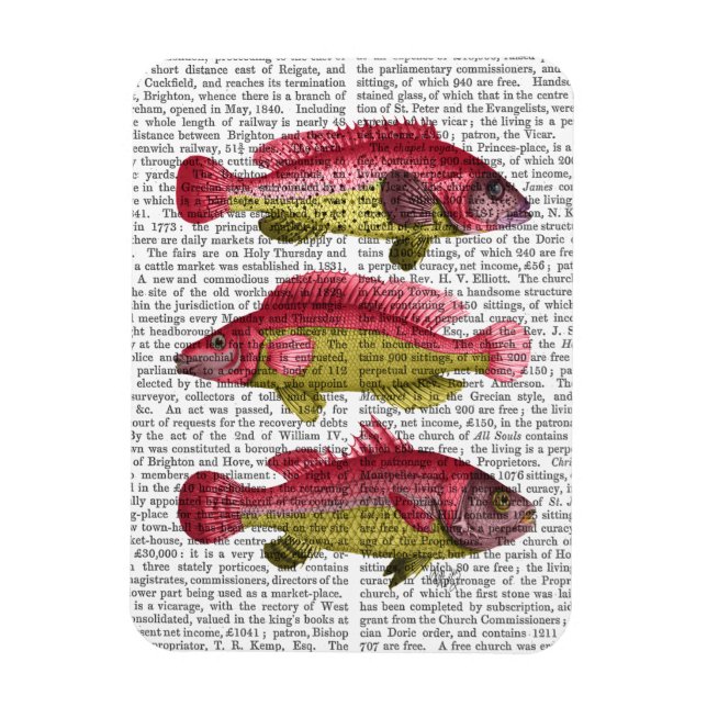 Red and Gult Fantasy Fish Trio Magnet (Vertikal)