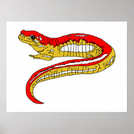 Red and Gult Salamander Poster