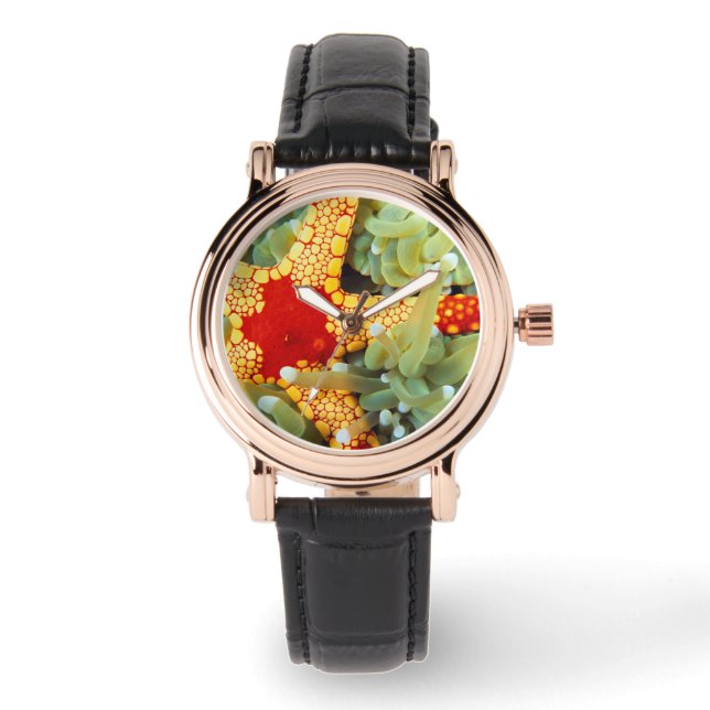 Red and Gult Sea Star Armbandsur (Framsida)