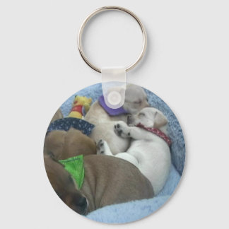 Red and Lila Keychain Nyckelring