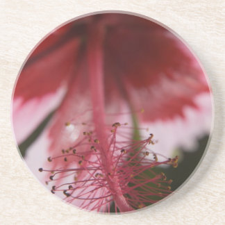 Red and Rosa Hawaiian Hibiscus Underlägg
