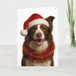 Red and white Border Collie Christmas card Kort