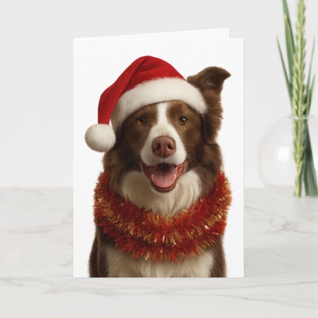 Red and white Border Collie Christmas card Kort (Framsida)