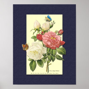 Red and White Botanical Ro on Blue Poster