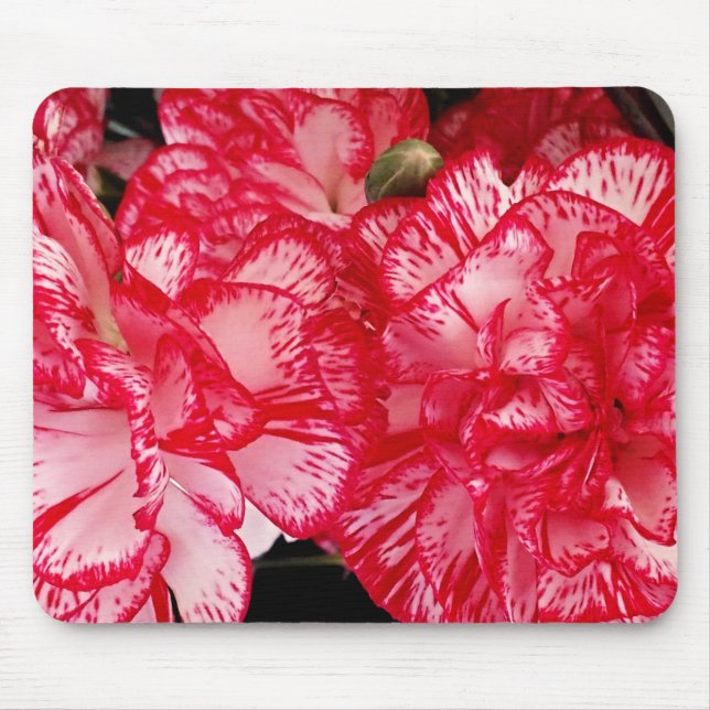 Red and White Carnation-Computer Mousepad Musmatta (Framsidan)