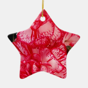 Red and White Carnations-STAR ORNAMENT