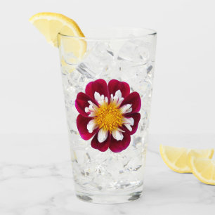 Red and White Collarette Dahlia Blommigt Drinking Glaskopp