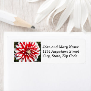 Red and White Dahlia Blommigt Returadress Etikett