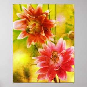 Red and White Flower Pair Distress Art Poster