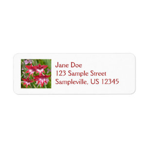 Red and White Gladiolas Summer Botanical Returadress Etikett