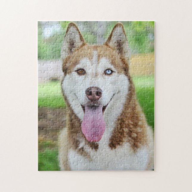 Red and White Husky Hund Pussel (Vertikal)
