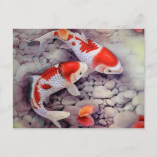 Red and White Koi Fish Pond Vykort