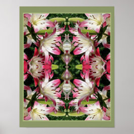Red and White Lily Flowers Abstrakt Poster