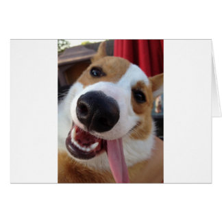 Red and White Pembroke Welsh Corgi Hälsningskort
