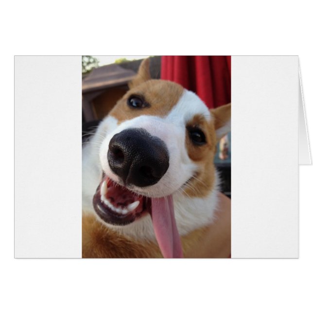 Red and White Pembroke Welsh Corgi Hälsningskort (Framsidan Horizontal)