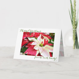 Red and White Poinsettia Helgdag-julkort Helgkort