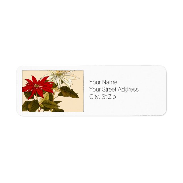 Red and White Poinsettias Botanical Art Adress Returadress Etikett (Framsidan)