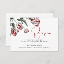 Red and White Rembrandt Tulips