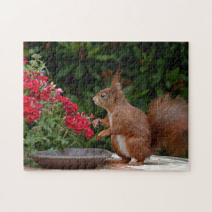 Red and White Squirrel med Red Flower Bush Pussel