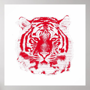 Red and White Tiger Ansikte Poster