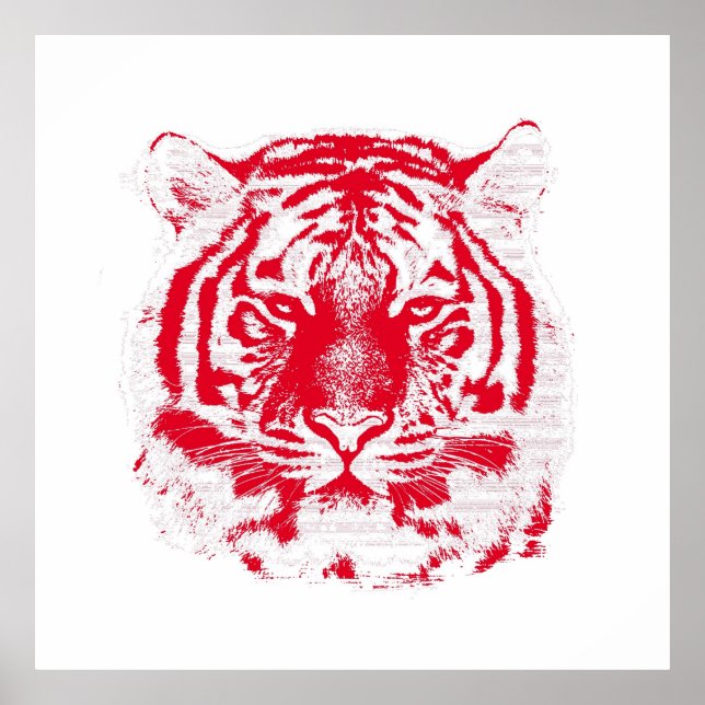 Red and White Tiger Ansikte Poster (Framsidan)