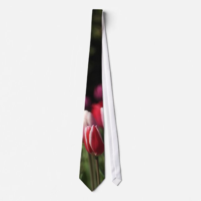 Red and White Tulip Slips (Framsida)