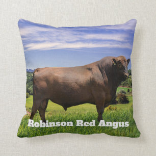 Red Angus Bull  Kudde