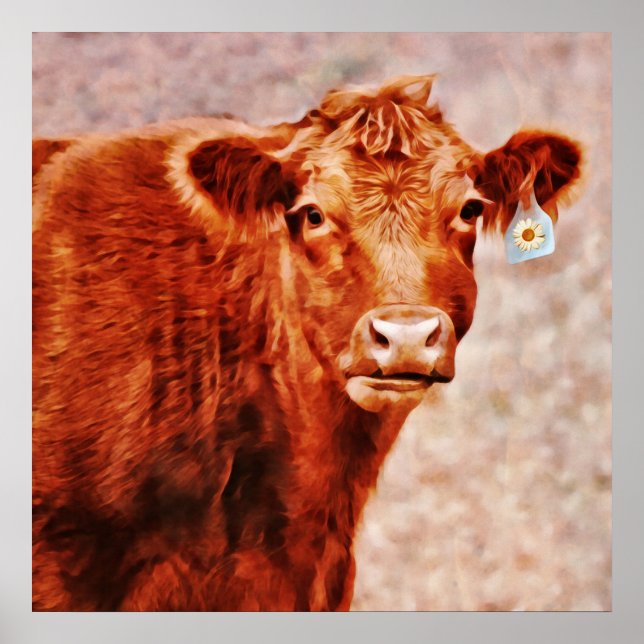 Red Angus Cow med Daisy-ID-fotografisk utskrift Poster (Framsidan)