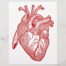 Red Antique Anatomical Heart