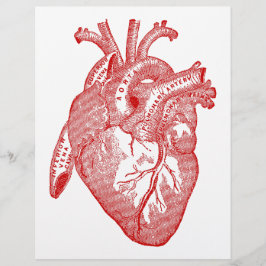 Red Antique Anatomical Heart